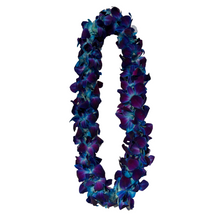 Load image into Gallery viewer, Fresh Double Orchid Lei - Blue
