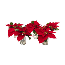 Load image into Gallery viewer, Classic Mini Poinsettia
